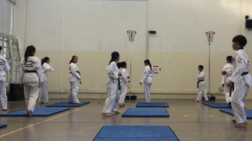 CCA Fiesta Kyorugi Video